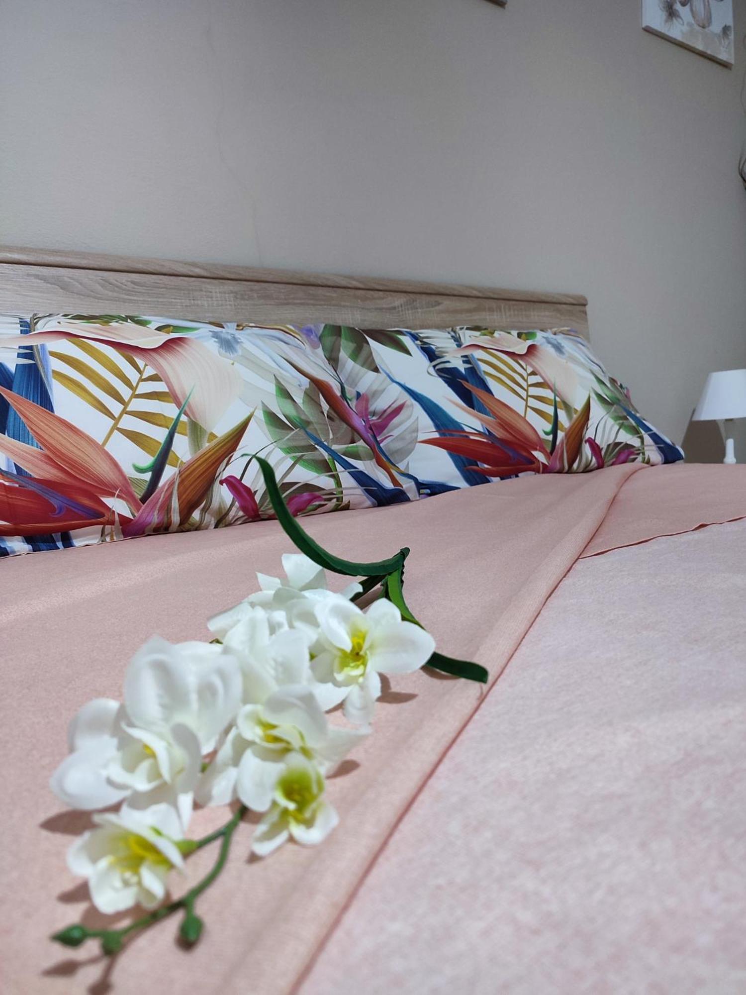 Monte Granatico Apartment Villamassargia Bagian luar foto
